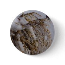 Yellow cedar with hoarfrost buttons