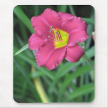 Yellow Centered Pink Flower w Green Mousepad mousepads