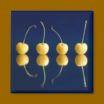 yellow cherries_3 magnets by VioDePhoto