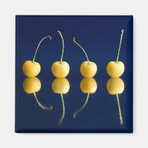 yellow cherries_3 magnets