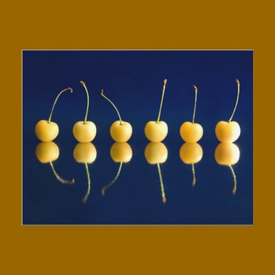 yellow cherries_3 post card by VioDePhoto
