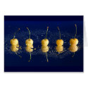 yellow cherries_4 cards by VioDePhoto yellow cherries_4 cards