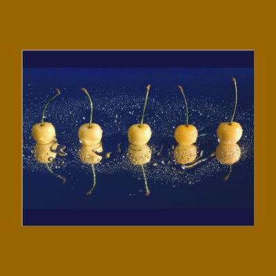 yellow cherries_4 post cards by VioDePhoto