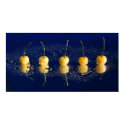 yellow cherries_4 posters