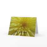 Yellow chrysanthemum, Get well soon Greeting Card Yellow chrysanthemum, Get well soon Greeting Card
