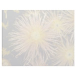 yellow Chrysanthemum 'Miss Atlanta' (Florist Chrys letterhead
