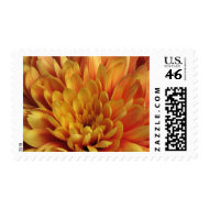 Yellow Chrysanthemum stamp