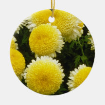 yellow Chrysanthemum 'Powder Puff' (Florist Chrysa Christmas Tree Ornament