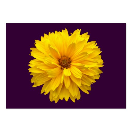 Yellow Chrysanthemum - Purple Business Card Templates (back side)