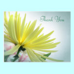 Yellow Chrysanthemum Thank You Postcard postcards