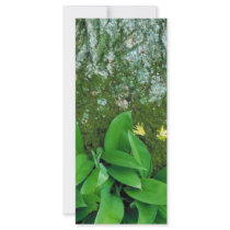 Yellow Clintonia Custom Rack Card