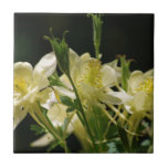 Yellow columbine flowers tile