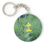 yellow Common Evening-Primrose (Oenothera Biennis) Keychains