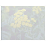 yellow Common Tansy (Tanacetum Vulgare Tanaisie) f letterhead