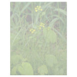 yellow Common winter cress, Quebec, Canada. flower Letterhead Template