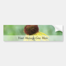 Yellow Coneflower - Echinacea Paradoxa Bumper Stickers