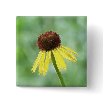 Yellow Coneflower - Echinacea Paradoxa Pinback Buttons