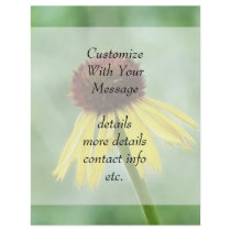 Yellow Coneflower - Echinacea Paradoxa Flyers