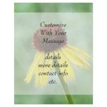 Yellow Coneflower - Echinacea Paradoxa Flyers