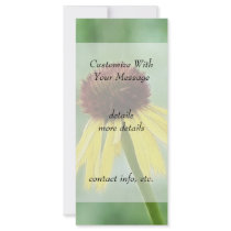 Yellow Coneflower - Echinacea Paradoxa Rack Card