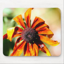 Yellow coneflower, or black-eyed-Susan mousepads