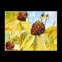 yellow coneflower post cards postcards