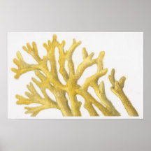 Yellow Coral Print