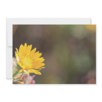 Yellow Coreopsis Flower invitations