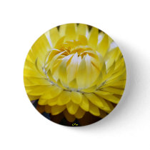 Yellow Cornflower buttons by CyrScenes Yellow Cornflower buttons