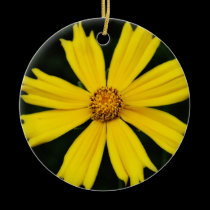Yellow Cosmos Flower Close-up ornaments