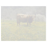 yellow Cow and dandelions, Marcilhac-sur-Cele, Fra Letterhead Design