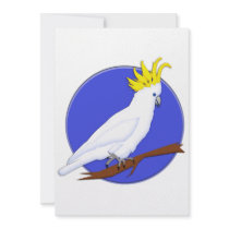 Yellow Crested Cockatoo Personalized Announcement