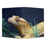 Yellow Crested Gecko Resting binders