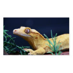 Yellow Crested Gecko Resting Business Cards