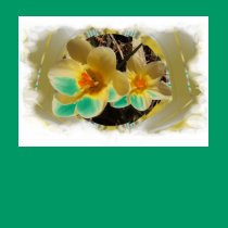 Yellow Crocus framed ~ T t-shirts