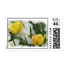 Yellow Crocus Postage Stamp