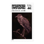 Yellow-Crowned Night-Heron in the Rain Stamp
