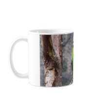 Yellow-crowned Parakeet Mugs
