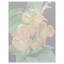 yellow Cup and saucer (Holmseioldia manguinea) flo Letterhead Design