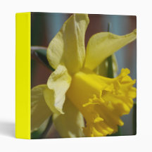 Yellow Daffodil Binder