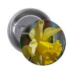 Yellow Daffodil Button