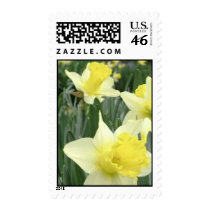 Yellow Daffodil Field Postage postage by flowingcreek Yellow Daffodil Field Postage postage
