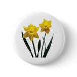Yellow Daffodil Pair Pinback Buttons