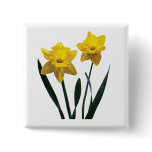 Yellow Daffodil Pair