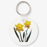 Yellow Daffodil Pair
