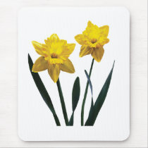 Yellow Daffodil Pair Mouse Pads
