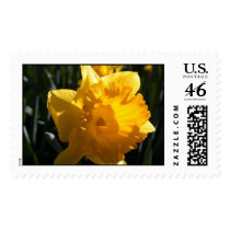 Yellow Daffodil postage by kokobaby Yellow Daffodil postage
