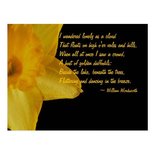 Yellow Daffodil; William Wordsworth Poem Postcard Zazzle