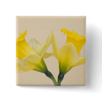 Yellow daffodils