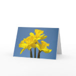 Yellow Daffodils Greeting Cards Custom Spring